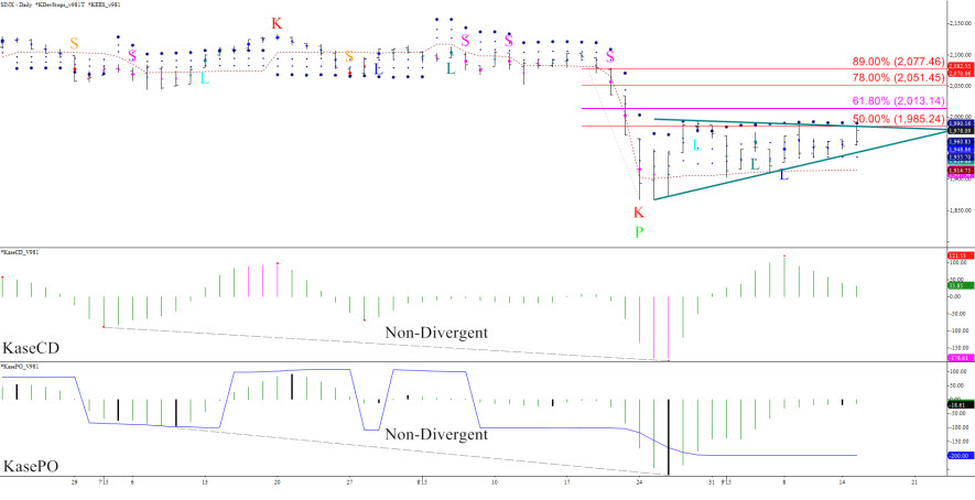 SPX-Fig1